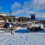 Caribou *