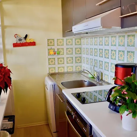 Caribou Appartement Besse-et-Saint-Anastaise