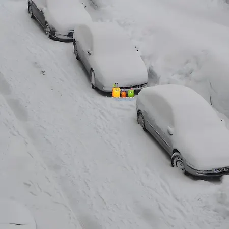 Caribou Besse-et-Saint-Anastaise