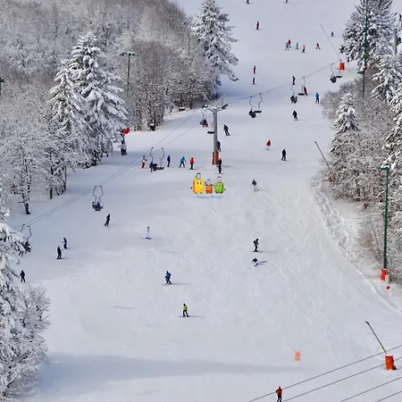 Caribou Appartement Besse-et-Saint-Anastaise