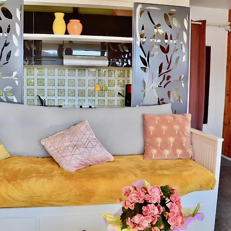 Caribou * Besse-et-Saint-Anastaise