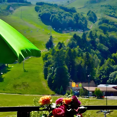 Caribou * Besse-et-Saint-Anastaise