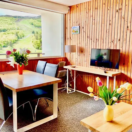 Appartement Caribou Besse-et-Saint-Anastaise